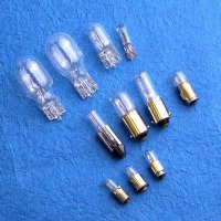 MINIATURE BULBS