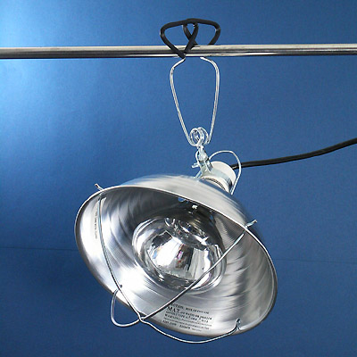 Brooder clamp light deals