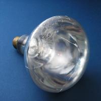 Teflon Bulbs (Food Industry)