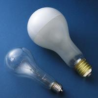 Large Incandescent Bulb