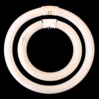 CIRCLINE FLUORESCENT LAMPS